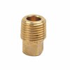Thrifco Plumbing 1/8 Inch MIP Brass Plug 9316089